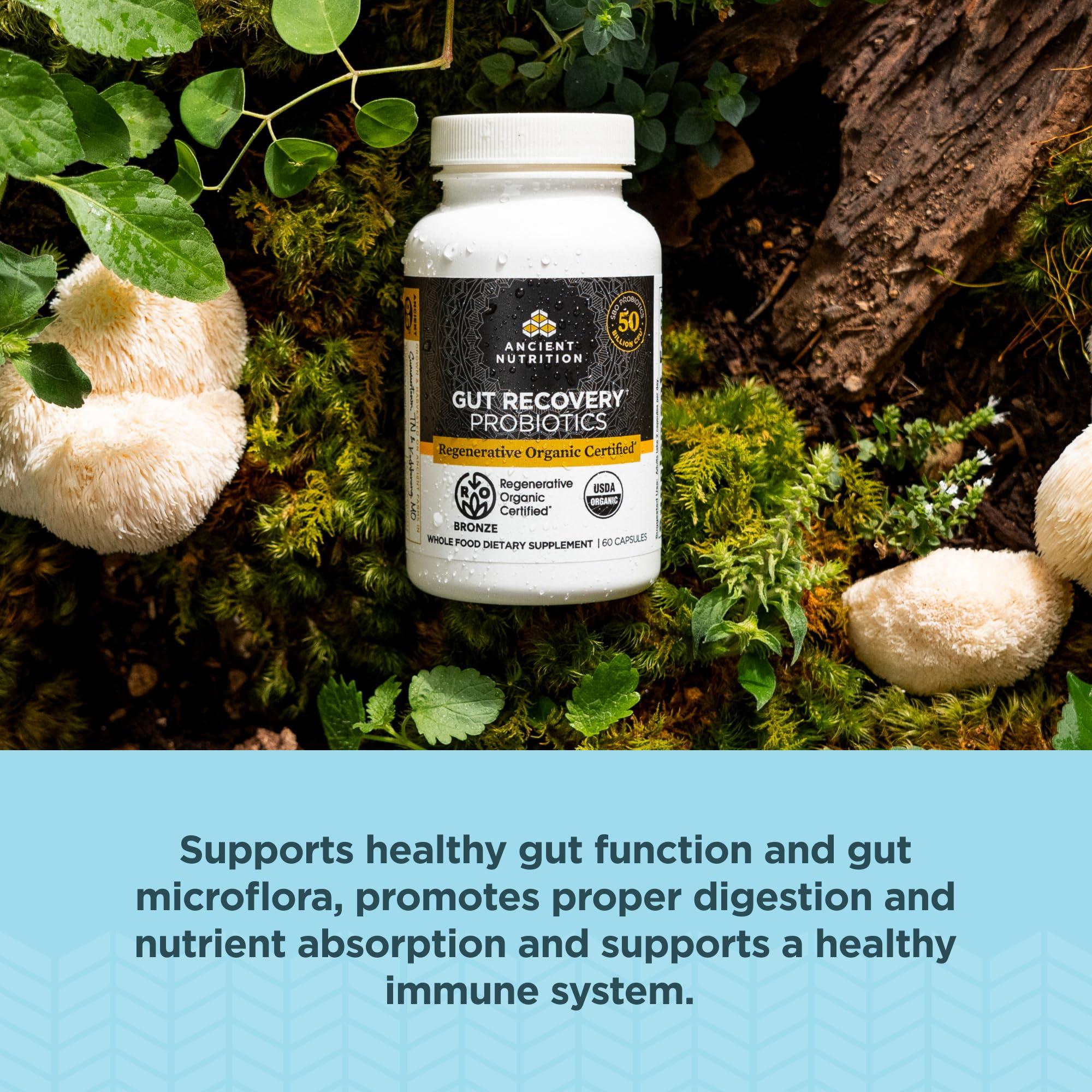 Ancient Nutrition Ancient Nutrition Regenerative Organic Certified Probiotics for Gut Recovery, Probiotics Gut Recovery, for Healthy Digestion and Immune System Function Support, 50 Billion CFUs* Per Serving, 60 Count