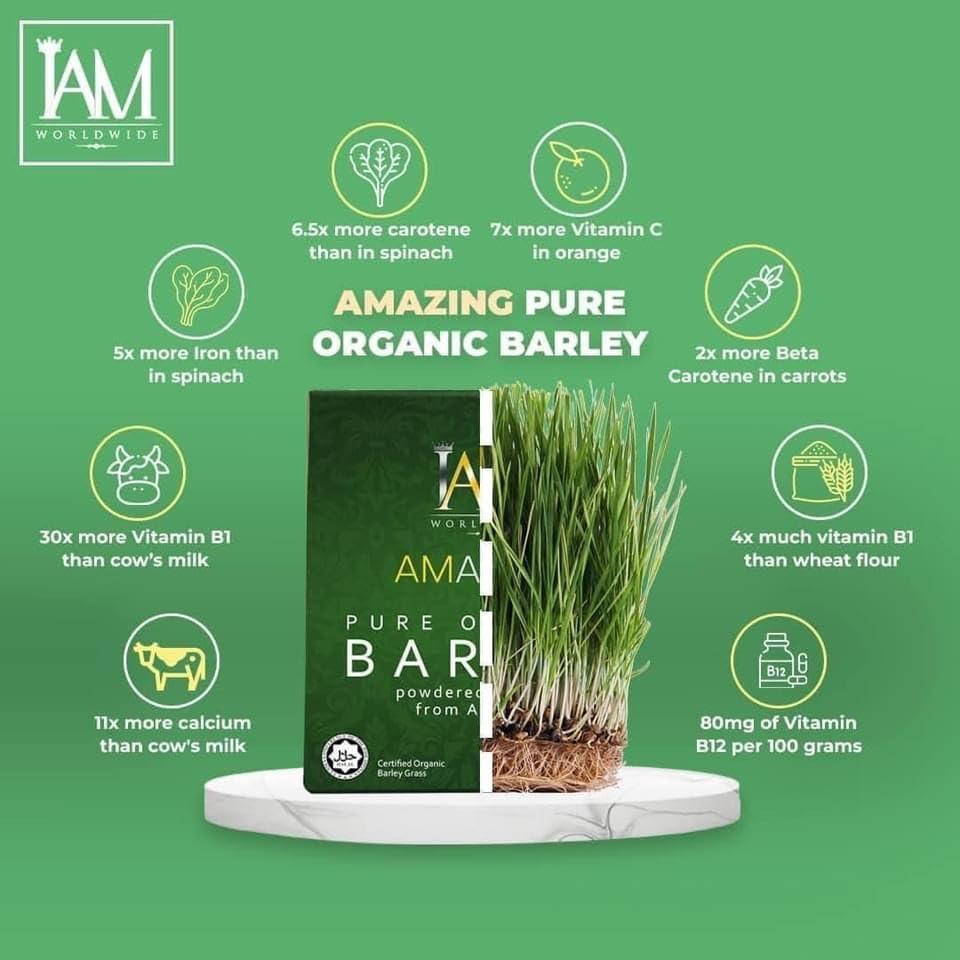 Herb All Generic IAM Amazing Pure Organic Barley Powder Drink Mix Organic Barley Natural Blend, 2.2 Ounce (Pack of 1), Green