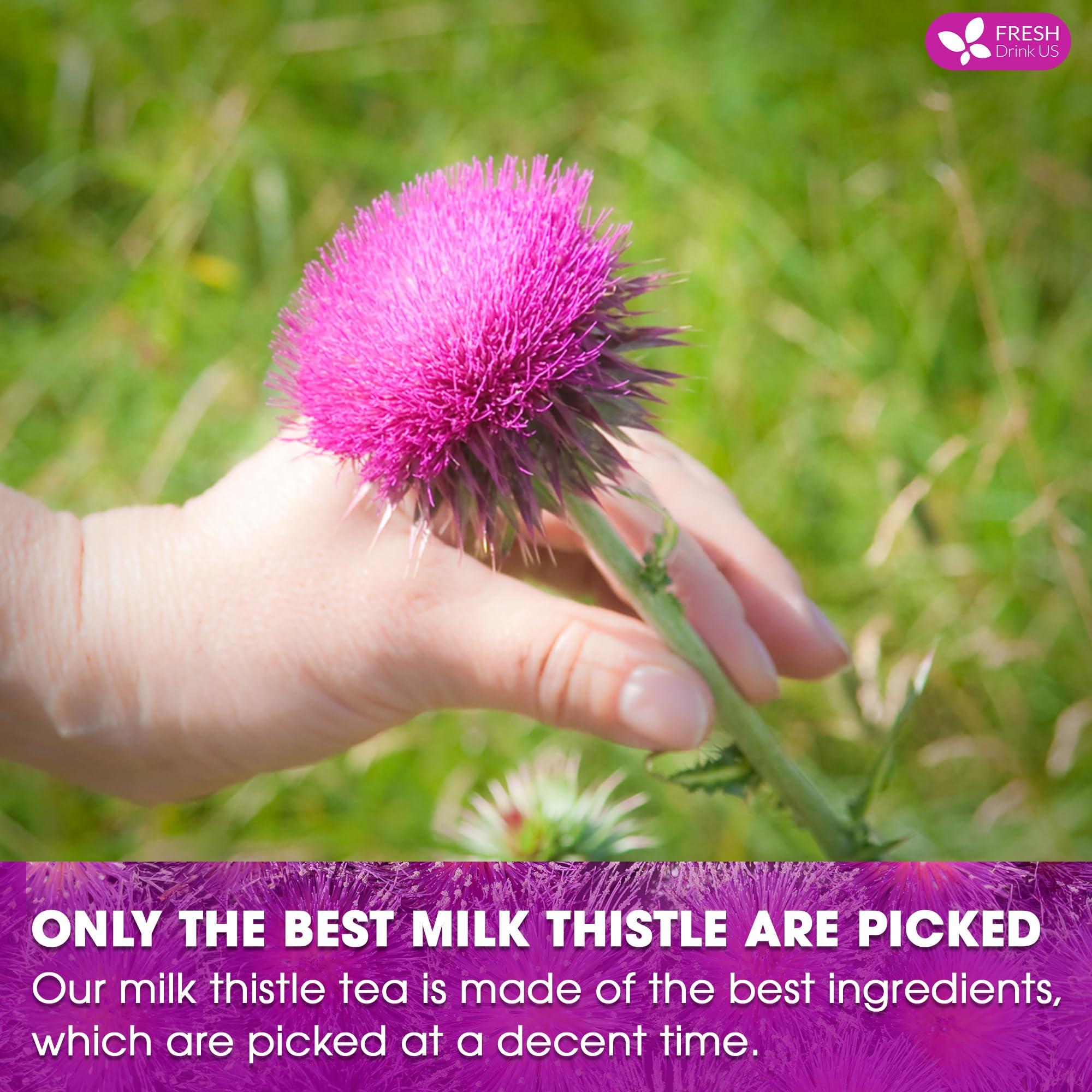 FRESHDRINKUS FreshDrinkUS, Premium 30 Milk Thistle Tea Bags, 100% Natural & Pure from Milk Thistle Seeds. Milk Thistle Seed Herbal Tea. Made with Natural Material Tea Bags. No Sugar, No Caffeine, No Gluten, Vegan.