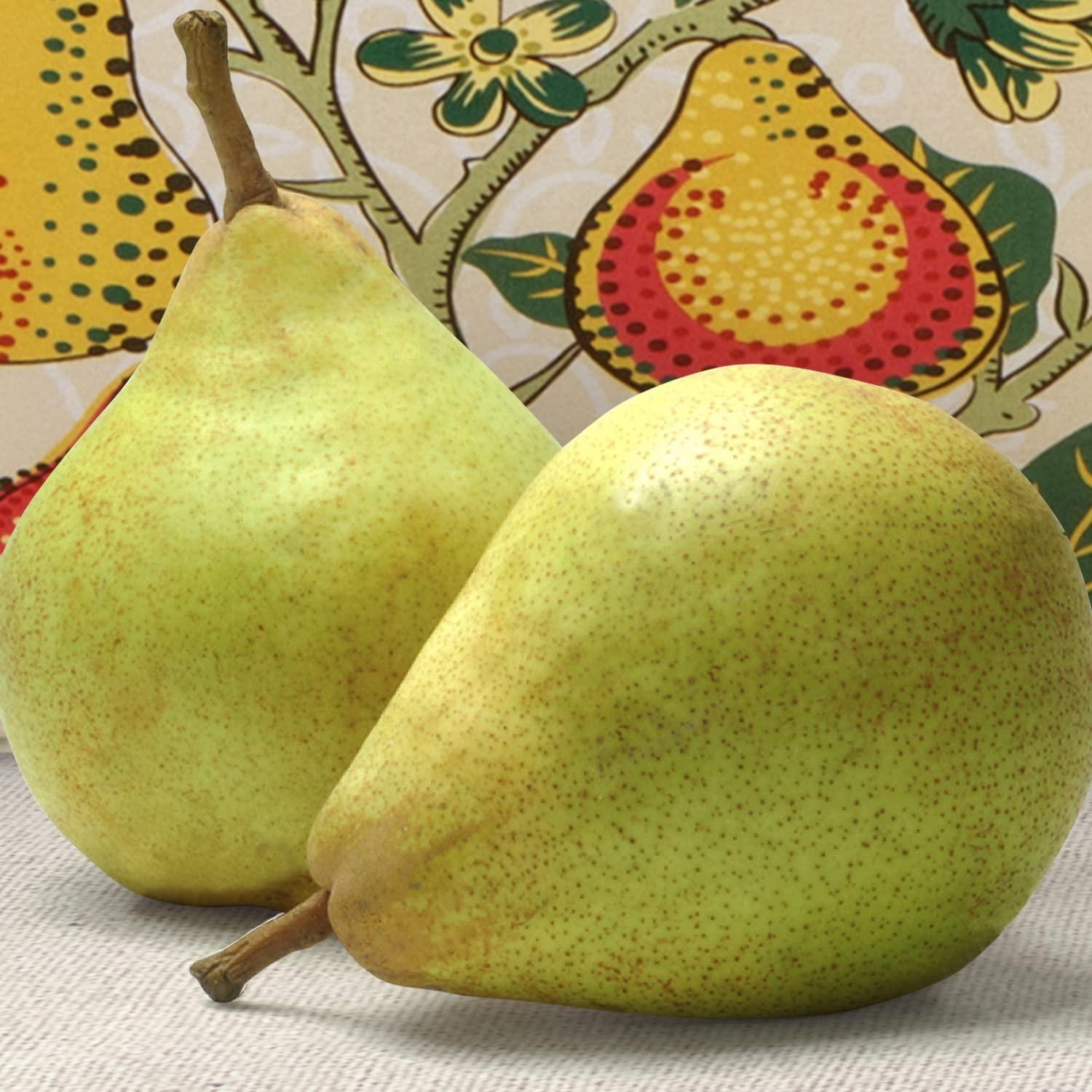 A Gift Inside A Gift Inside Get Well Soon Orchard Delight Fruit and Gourmet Gift Basket