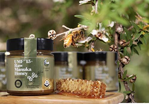 Center of Eden Center of Eden Raw Manuka Honey UMF 15+, MGO 515+, 100% Natural, Unpasteurized, Glass Jar, 8.8 oz (250g), Certified, New Zealand
