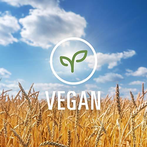 Dreamfields Pasta Dreamfields Healthy Pasta Living Angel Hair, 13.25-Ounce Boxes (Pack of 10)