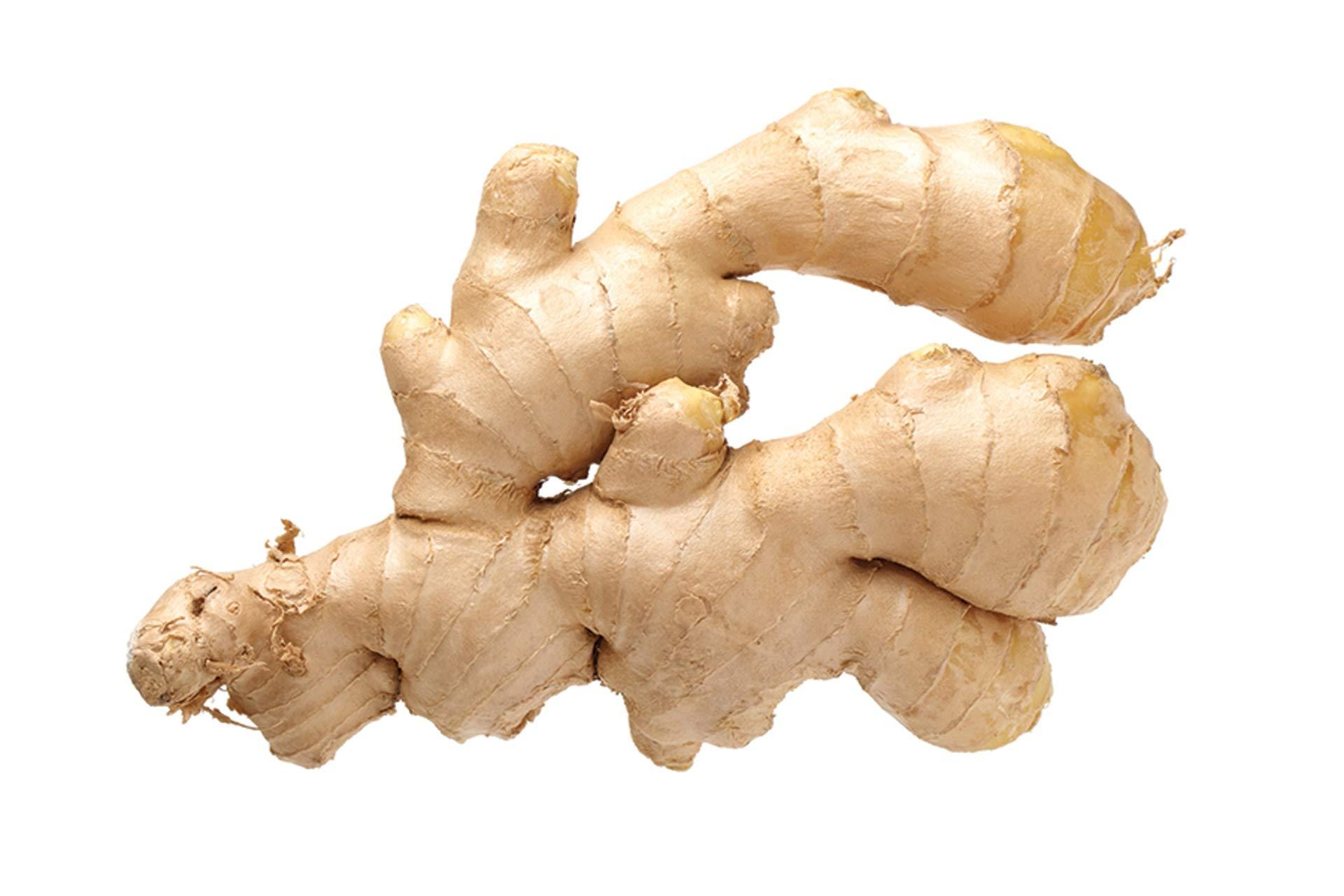 COUNTRY CREEK ACRES GROWING IS IN OUR ROOTS Ginger, Whole Root, 16 OZ, COUNTRY CREEK ACRES BRAND- Savory, Tasty, and Full of Nutrients!