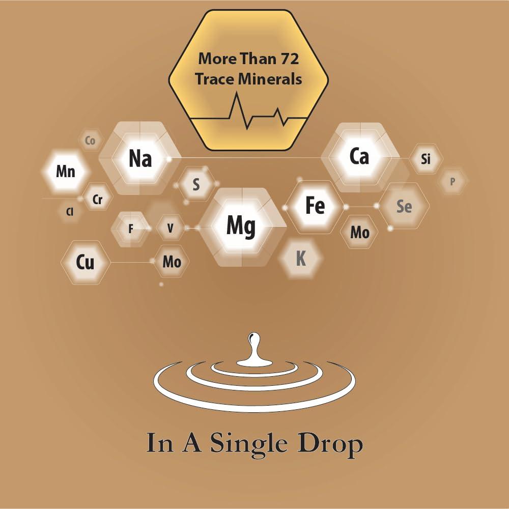 Buried Treasure Buried Treasure Fulvic Mineral Drops - Concentrated Fulvic Acid delivering Trace Mineral Drops as a Colloidal Minerals Liquid Supplement - Supporting Energy with Trace Minerals Electrolytes - 2 fl oz