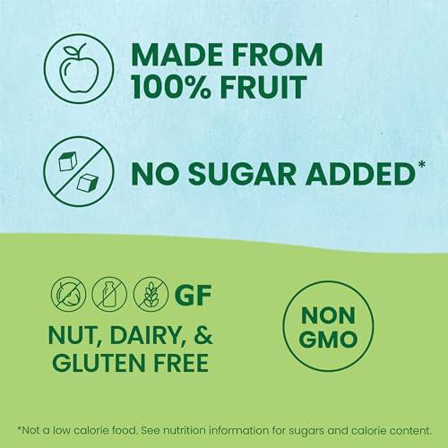 GoGo SqueeZ GoGo squeeZ Fruit on the Go, Apple Apple, 3.2 oz (Pack of 12), Unsweetened Fruit Snacks for Kids, Gluten Free, Nut Free and Dairy Free, Recloseable Cap, BPA Free Pouches