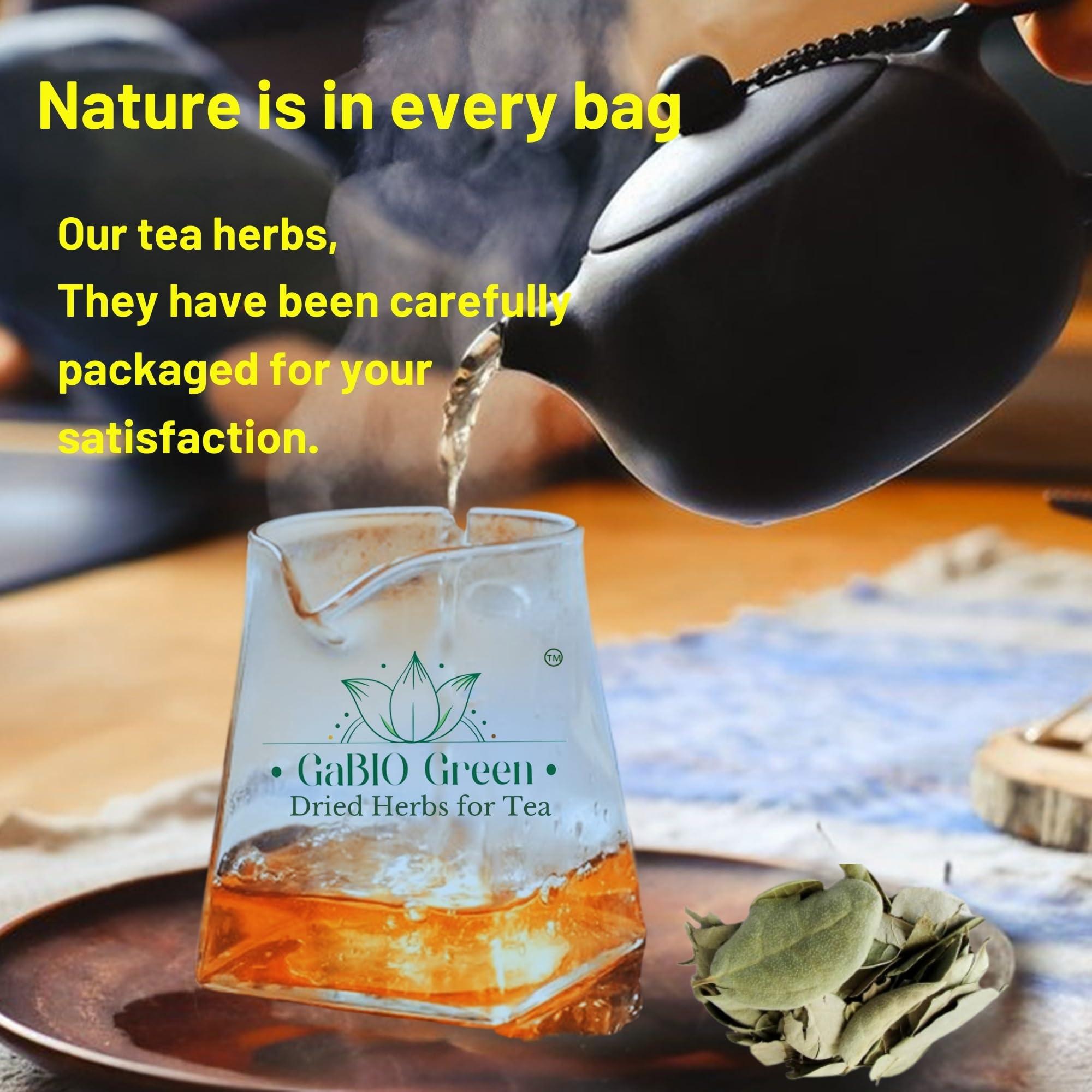 Gabio Green Boldo Dried Leaves, (3oz/85 GR) whole Boldo Leaf, 100% Natural Detox, Hojas De Boldo, Peumus Boldus Herbal Tea, Boldo Tea, Packaged in The USA (3oz)