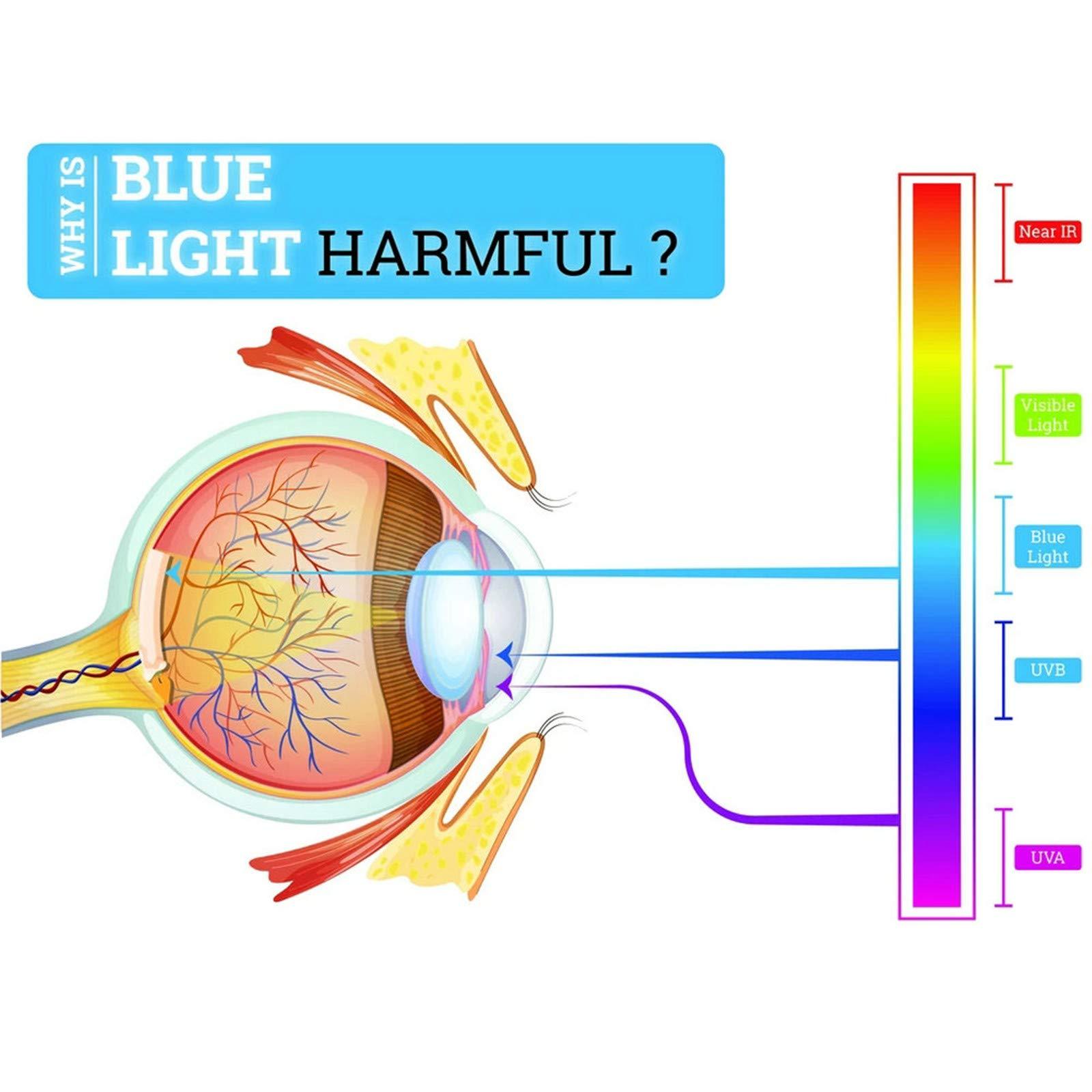 willochra Safety Glasses with Readers 0~+400 for women Men Safety Blue Light Reading Glasses Goggles Eye Protection clear lens (black, 4.0)