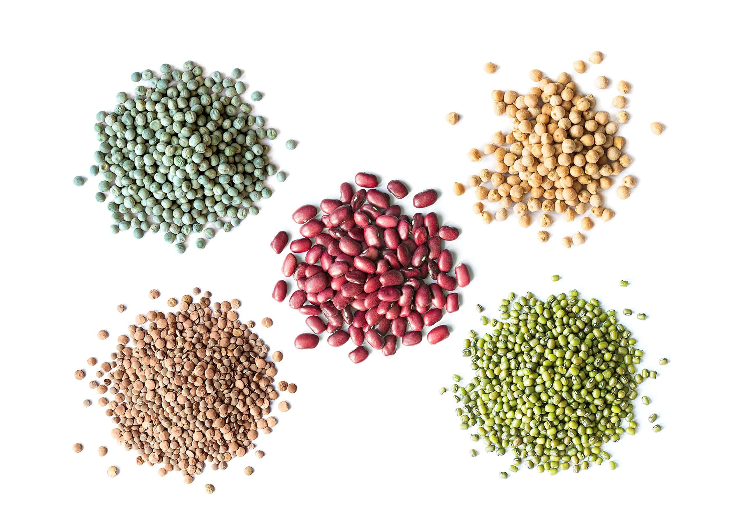 Food to Live Food to Live Organic Sprouting Beans, Peas, and Lentils in a Gift Box - Mung Beans, Adzuki Beans, Red Lentils, Chickpeas and Green Peas, Non-GMO, Kosher