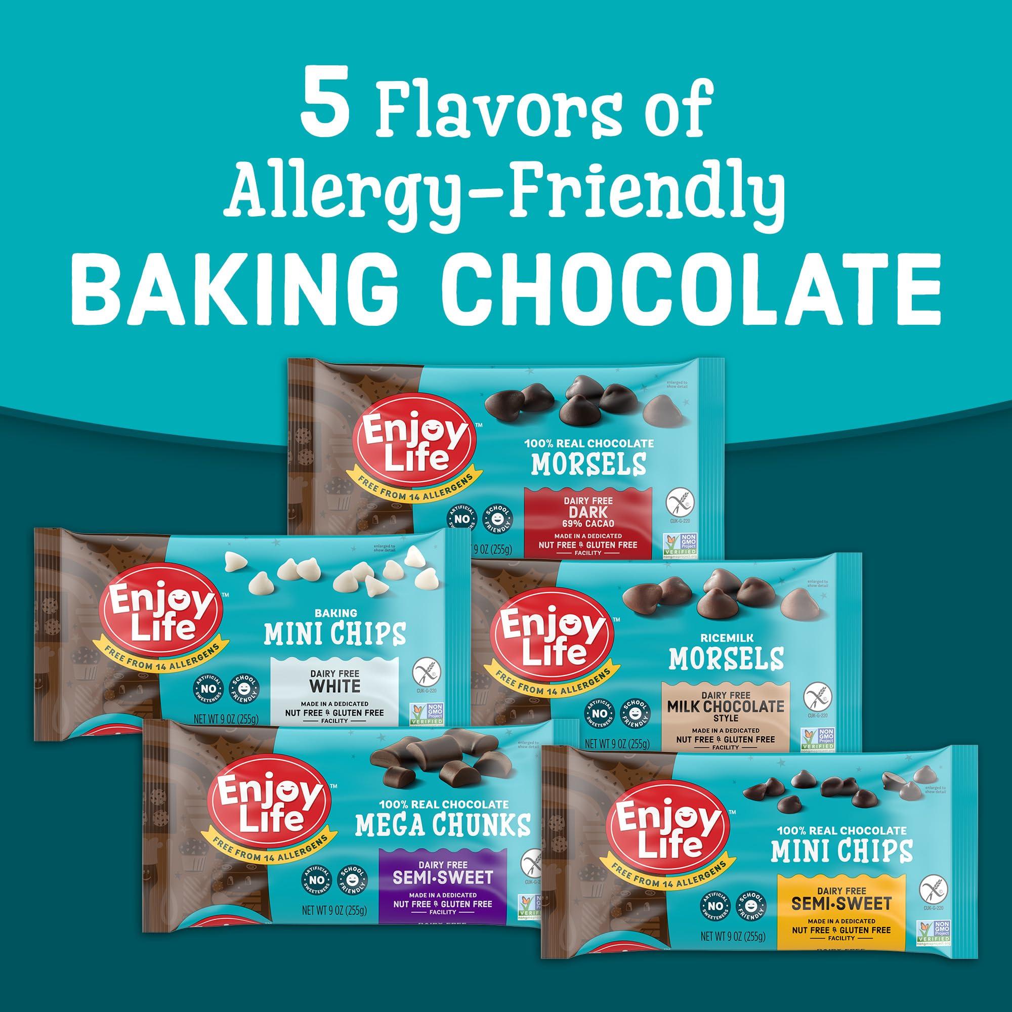 Enjoy Life Foods Enjoy Life Baking Dark Chocolate Morsels, Dairy Free , Soy Free, Nut Free, Non GMO, Gluten Free, Vegan Chocolate Chips, 9 oz bag