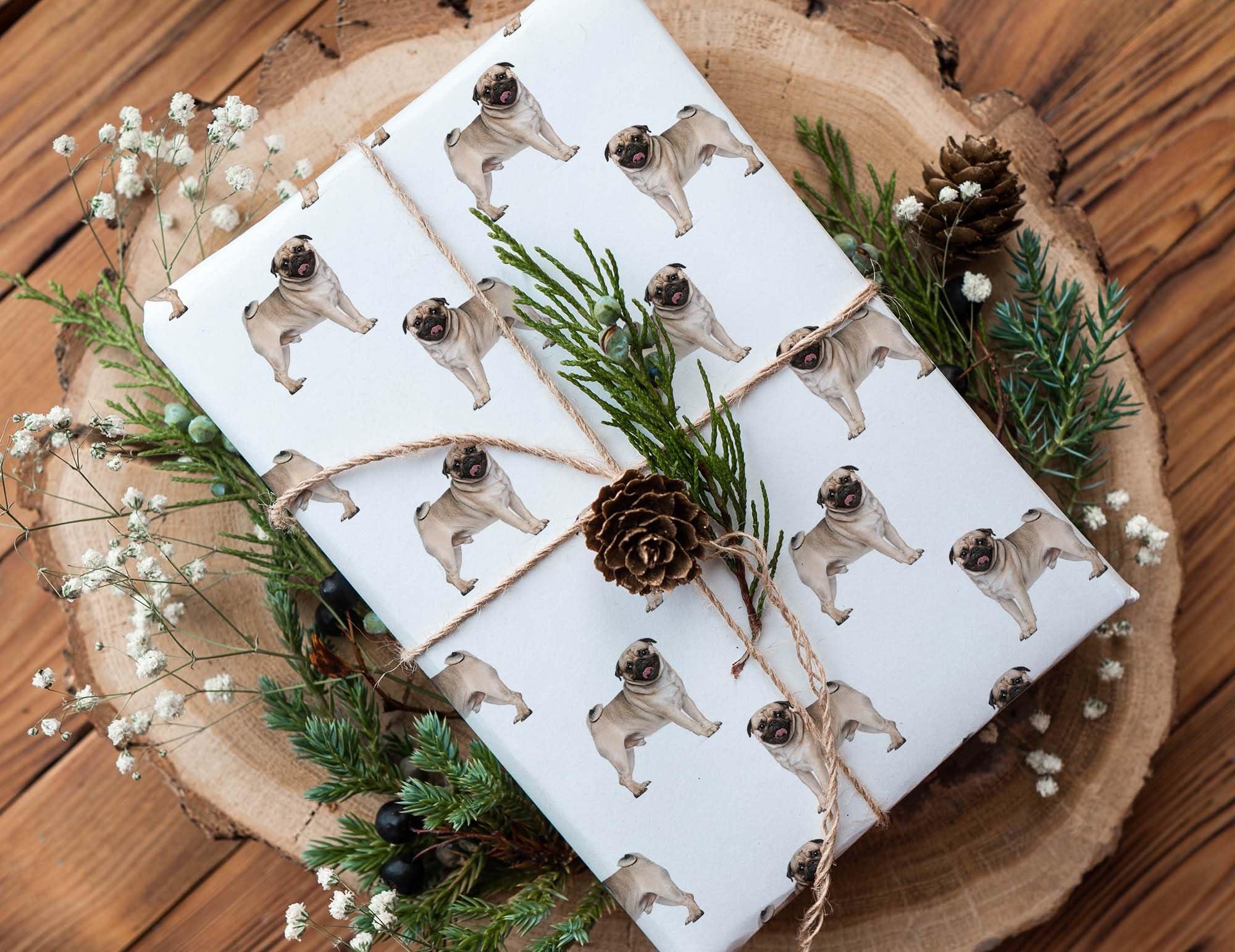 Foot Defender Foot Defender Protective Boot for Foot Wounds Designed to Offload Pressure and Help Diabetic Foot Ulcers Heal Faster (Medium)