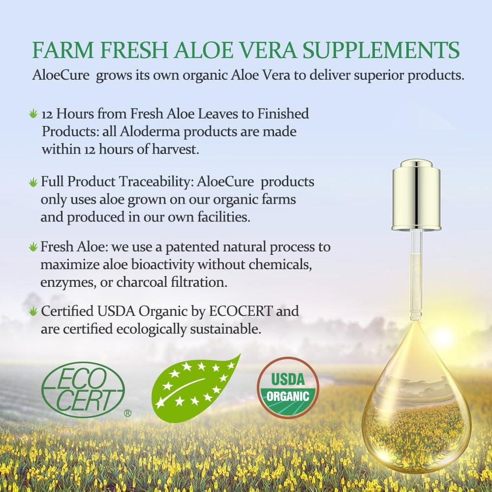 AloeCure AloeCure Organic Aloe Vera Capsules, 130,000mg Inner Aloe Leaf Equivelant per Serving, Support Gut, Digestive, & Immune Health, Helps Maintain Balanced Stomach Acidity, Aloin Free, 30 Capsules