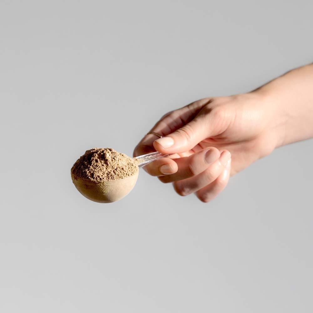 WelleCo WelleCo Vegan Protein Powder, Gluten Free Premium Organic Sprouted Brown Rice & Pea Protein Blend, 6g Carbs & Dairy Free, for Energy, Muscle Recovery, 16g Protein Per Serving, Chocolate, 35.2oz Pouch