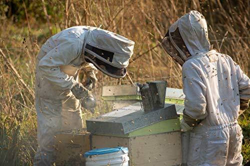 Center of Eden Center of Eden Raw Manuka Honey UMF 15+, MGO 515+, 100% Natural, Unpasteurized, Glass Jar, 8.8 oz (250g), Certified, New Zealand