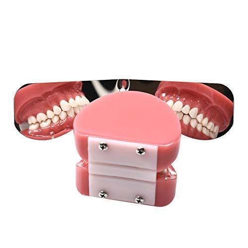 Angzhili 4 Pcs Dental Photography Mirrors Dental Orthodontic Mirror Stainless Steel Single Sided Photographic Occlusal Mirror Dental Oral Mirror Intra-Oral Reflector