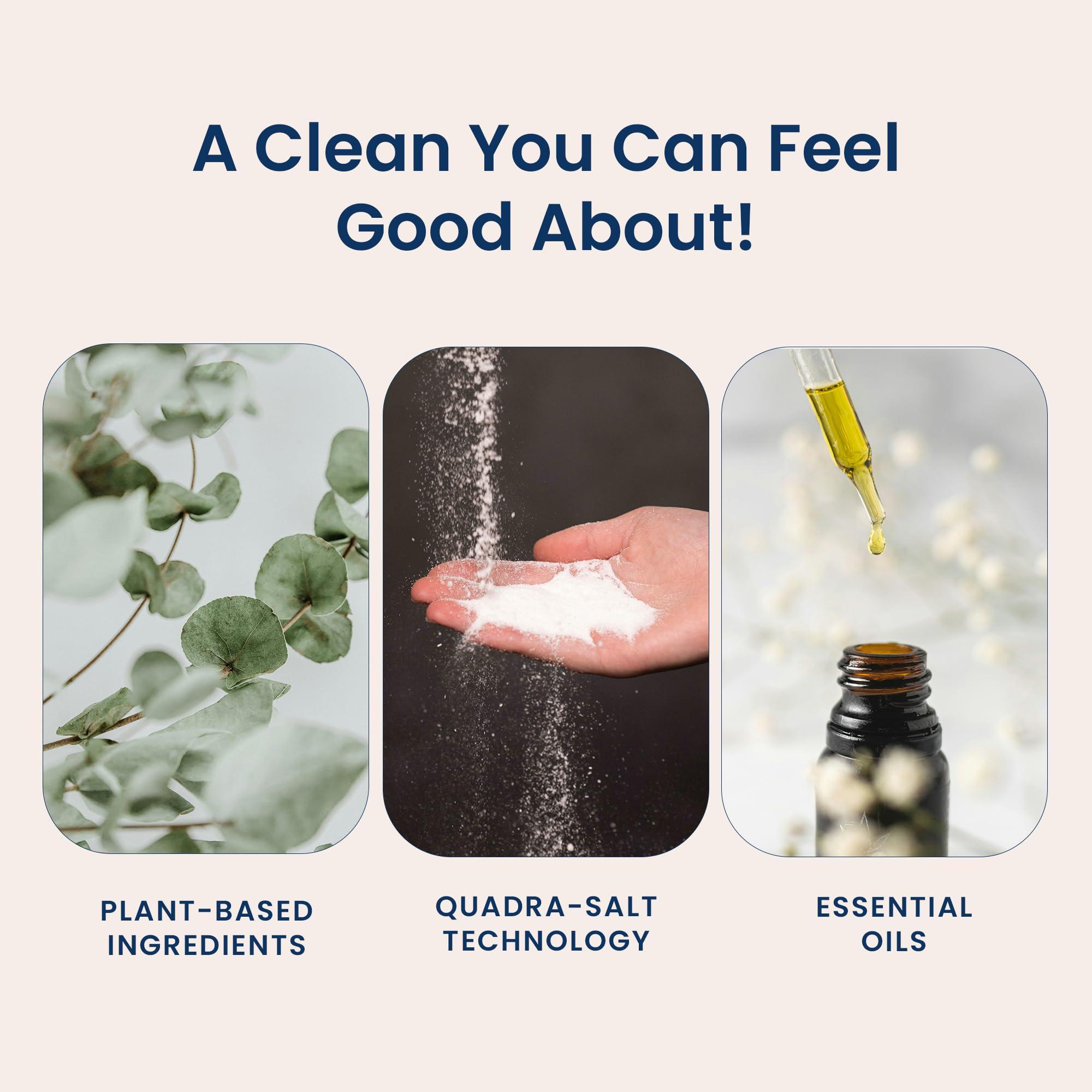 Truly Free Truly Free Natural Concentrated Dish Detergent Dishwashing Liquid | Plant-Based Dish Soap | Sweet Basil Fresh Scent | 2 Refill Packs with 1 Empty Refillable Squeeze Bottle (16 Oz)