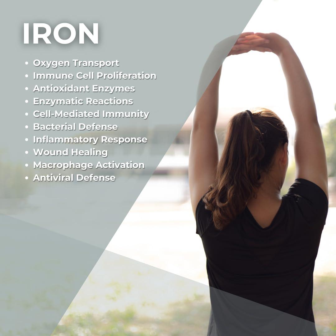 Goodphyte Goodphyte | Immunity Dietary Supplement | 60 Capsules | Naturally Occuring Enzymes That Regulate Digestion | Premium All Natural Relief from IBS, Constipation, Bloating, Gas, & Indigestion