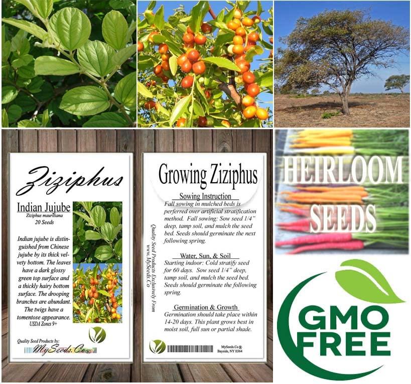 Kettle Brand Kettle Brand Potato Chips Sea Salt & Vinegar Kettle Chips, 13 Oz