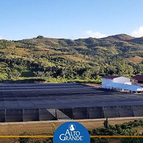 Alto Grande Alto Grande Super Premium Decaf Capsules for Nespresso Machines, 100 Percent Arabica Coffee From Puerto Rico (144 Count)