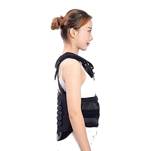 WILLQ Thoracolumbar Fixed Spinal Brace Thoracic and Lumbar Spine Fixed Brace for Fixed Support Scoliosis Posture Adjuster Men Women Lumbar Spine Orthosis Lumbar Spine Orthosis,Small
