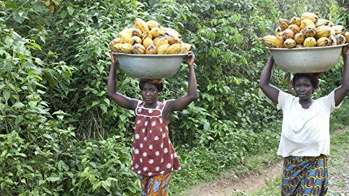 Caotina Caotina Swiss Chocolate Spread 300 g - Bread Spread with Swiss Chocolate, Caotina / Switzerland