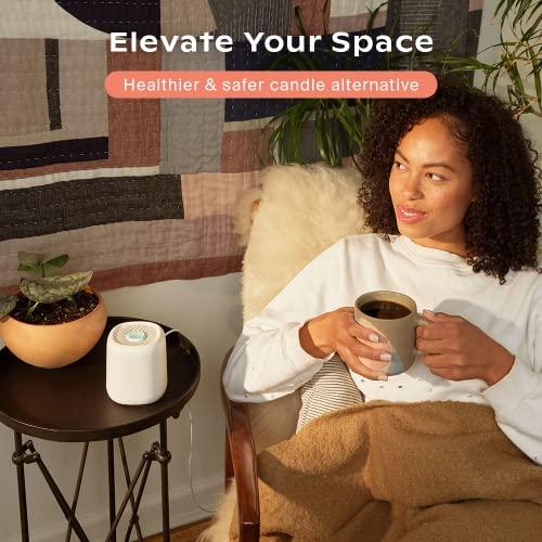 Canopy Canopy Bedside Diffuser, Pink Diffuser, Waterless Technology, Diffuses Up to 400 Sq Ft - 3 Fan Speeds - Includes Diffuser, Diffusion Well, Unwind Aroma, Power Cord & Adapter