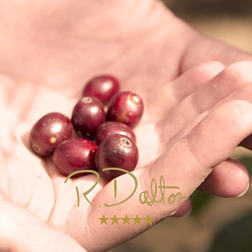R Dalton R. Dalton Coffee Sublime Genuine Antigua Whole Bean Coffee - Medium Roast - Exotic Chocolaty And Caramel Notes - All Brewing Methods - Premium Quality From Antigua Guatemala 100% Arabica - 12 oz