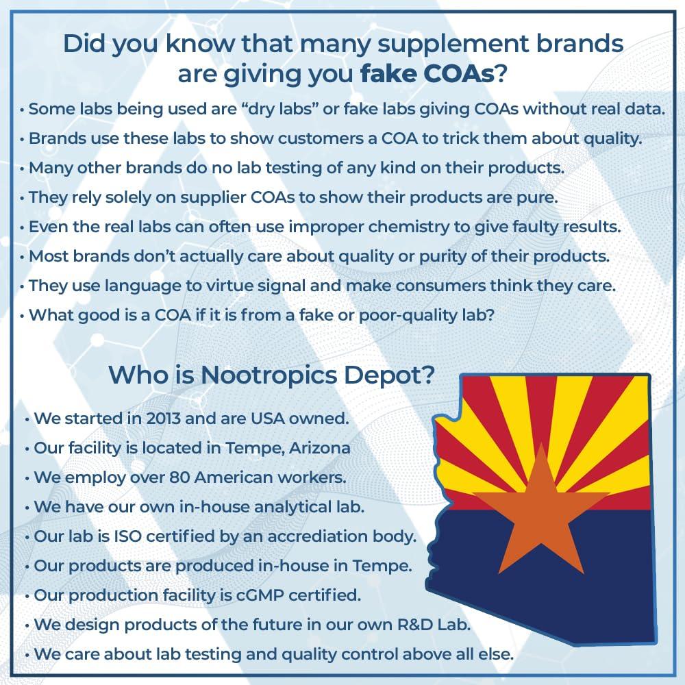 Nootropics Depot Nootropics Depot Sabroxy Tablets | 500mg | 60 Count | Minimum 10% Oroxylin-A | Oroxylum indicum | May Help Promote Focus & Motivation | May Help Promote Cognitive Function