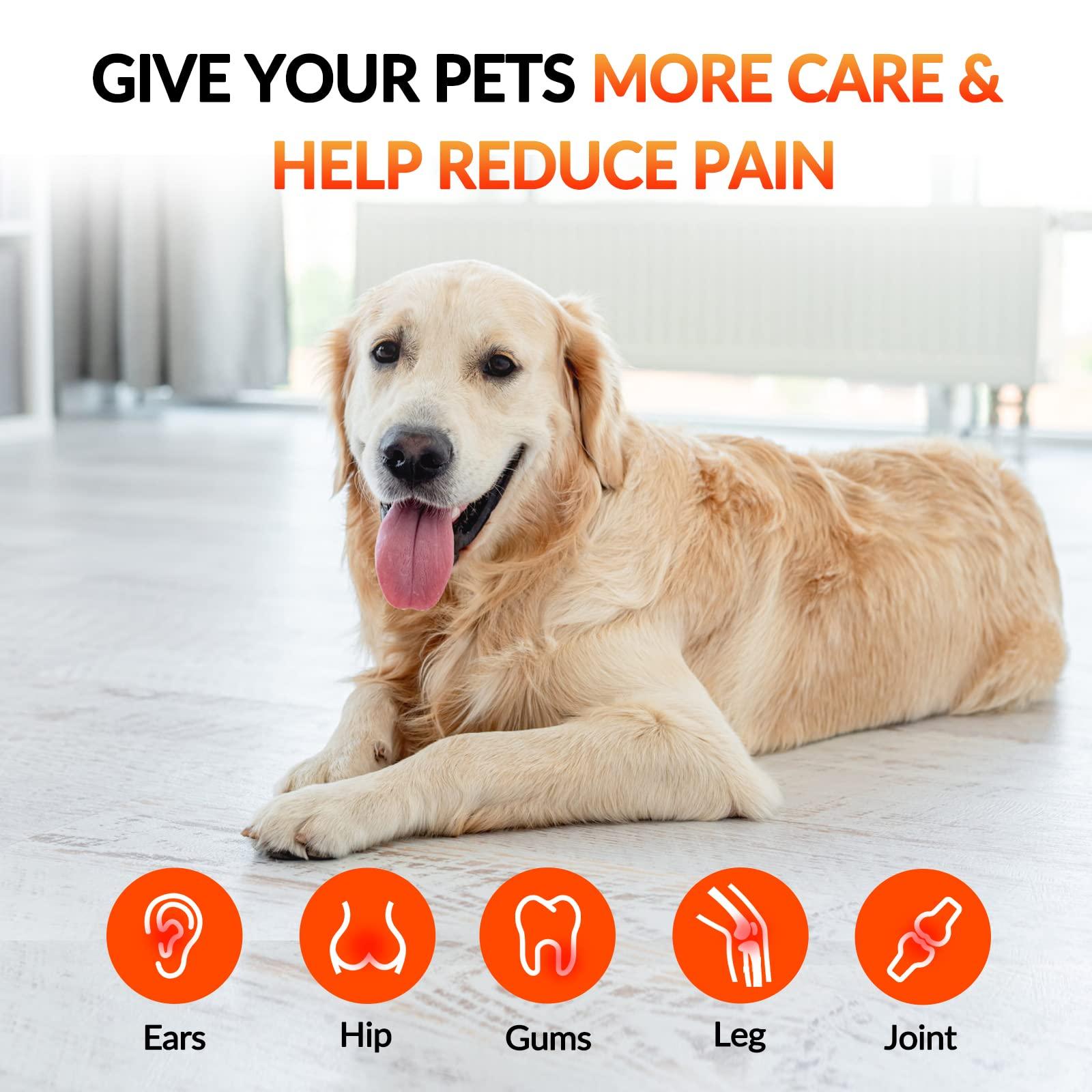 Evolve Etzels Bite Size Seasoned Pretzels, Clean Label, Non-GMO, No Corn Syrup, No MSG, 0-2g Added Sugar, Pure Natural Flavor, Nothing Artificial (Single, Originally Original)