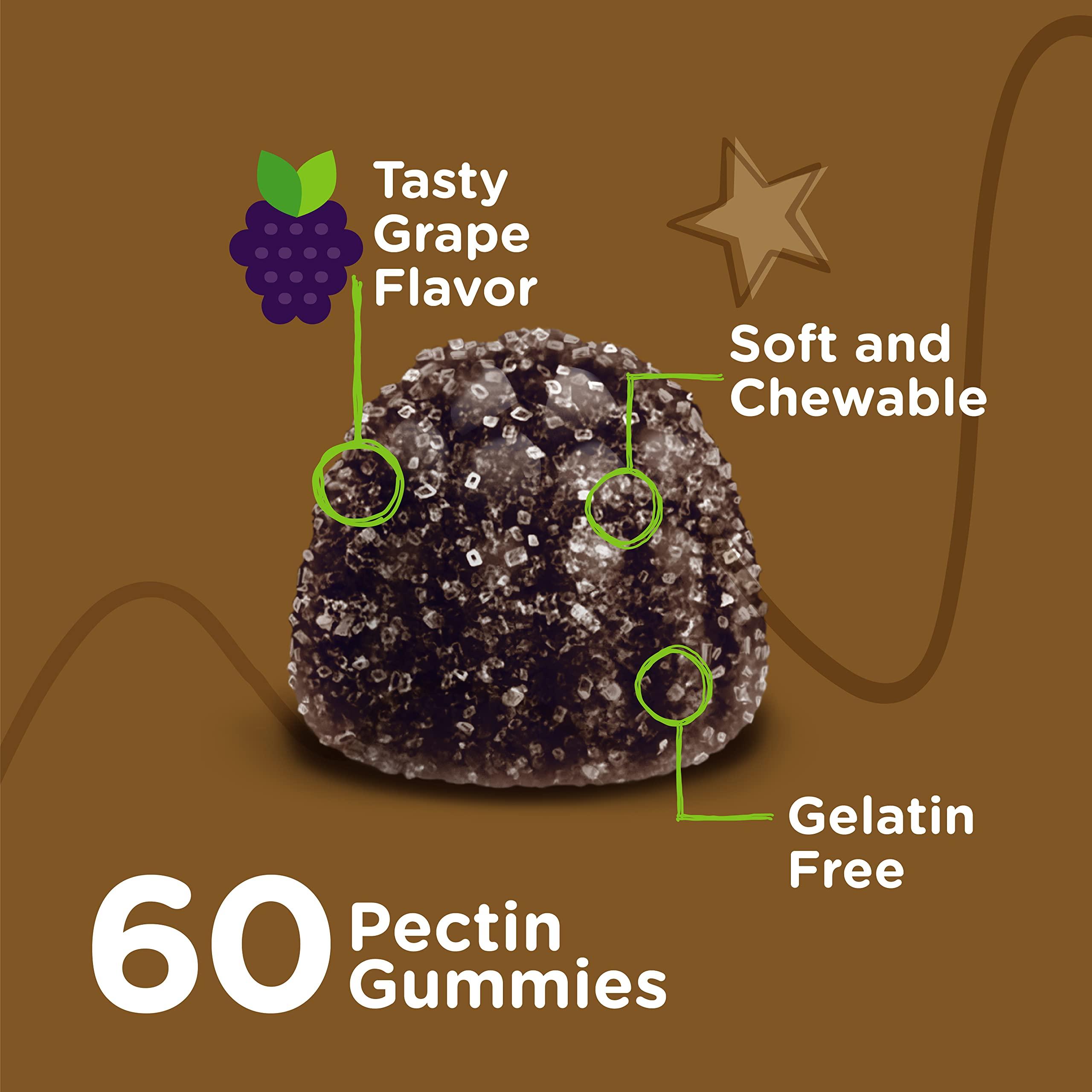 Viteey Iron Gummies for Kids with Vitamin C - Supports Energy, Blood Cell Formulation, Blood Builder Anemia Kids Iron Supplements - Vegan, Gelatin Free, Gluten Free - Tasty Chewable Grape Flavored Gummy