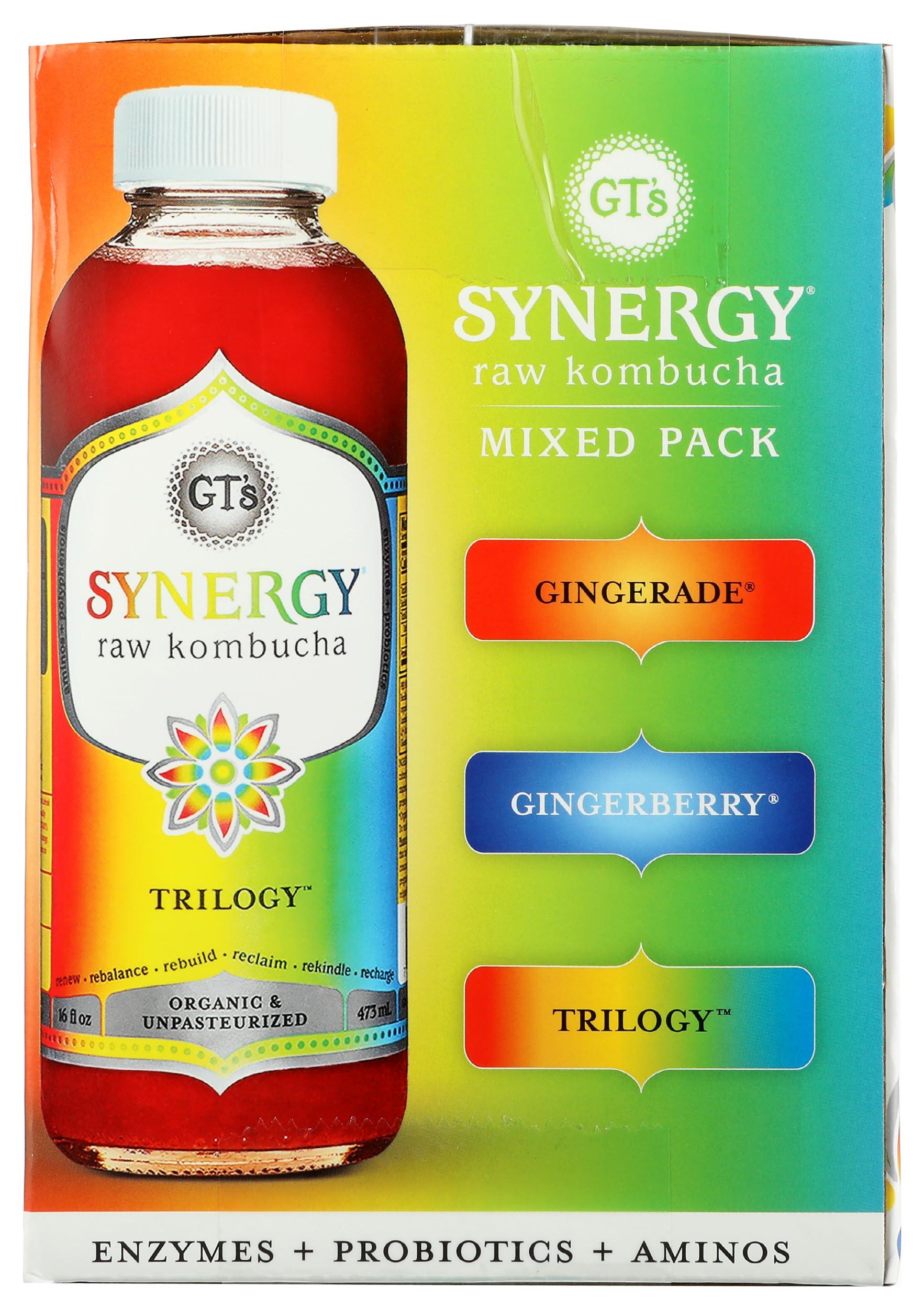 GTs Living Foods GTS LIVING FOODS Organic Synergy Kombucha Variety 6 Pack, 16 FZ
