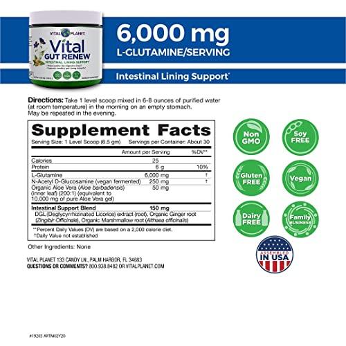 Vital Planet Vital Planet - Vital Gut Renew Powder Supplement for Leaky Gut Repair with L-Glutamine, Marshmallow and Ginger Root, DGL Licorice Root and Organic Aloe Vera, L Glutamine 6000mg 6.88 oz