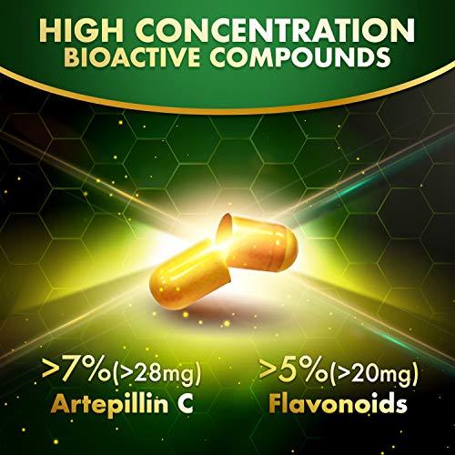 LABO Nutrition LABO Nutrition Brazilian Green Propolis Ultimate - Contains >7% or 28mg/Serving Artepillin C & >5% Flavonoids, for Immune & Brain Support, Natural, High Concentrate & Premium, 60 Veg Capsulesx3