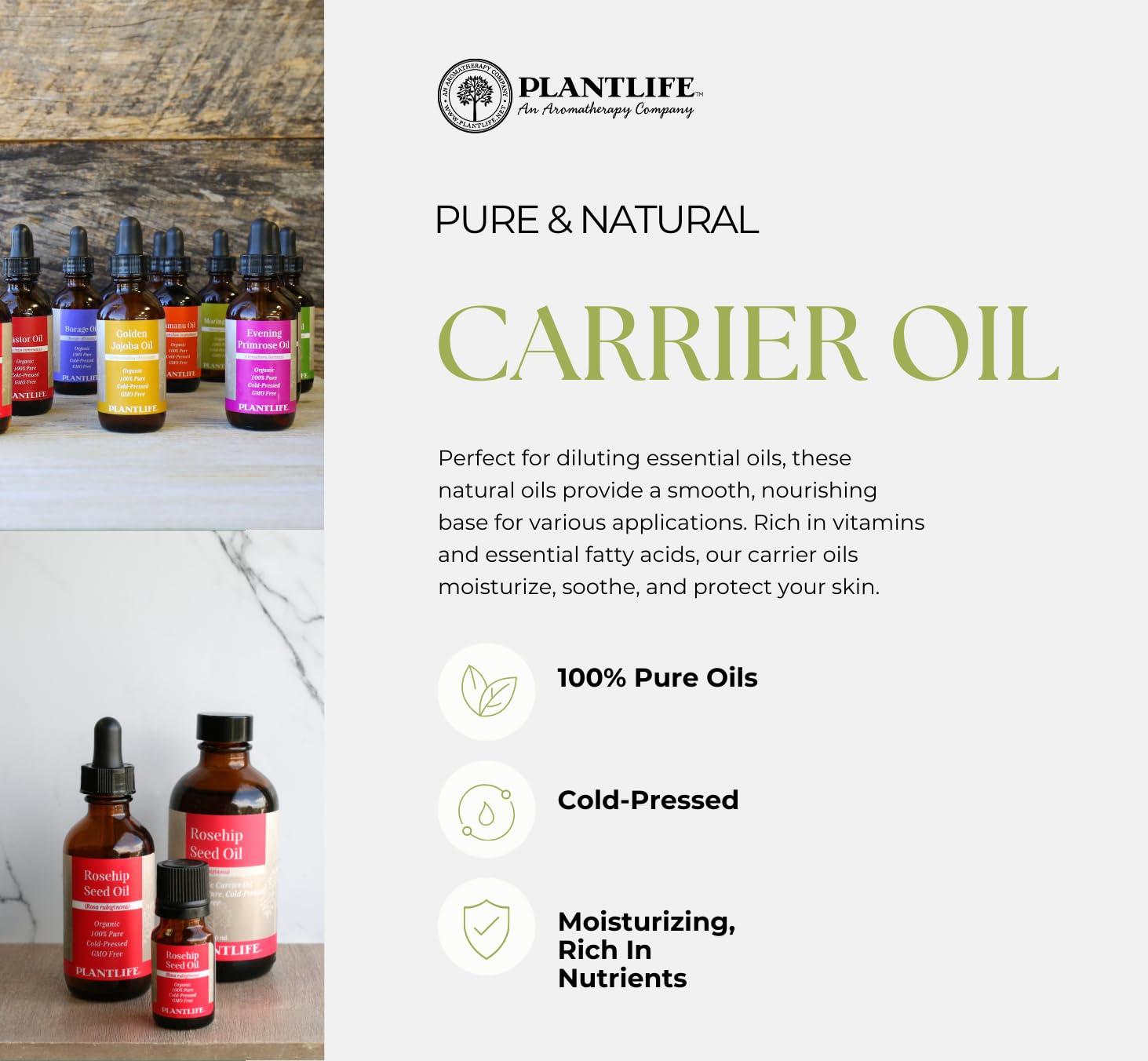 Plantlife Plantlife Neem Carrier Oil - Cold Pressed, Non-GMO, and Gluten Free Carrier Oils - for Skin, Hair, and Personal Care - 4 oz