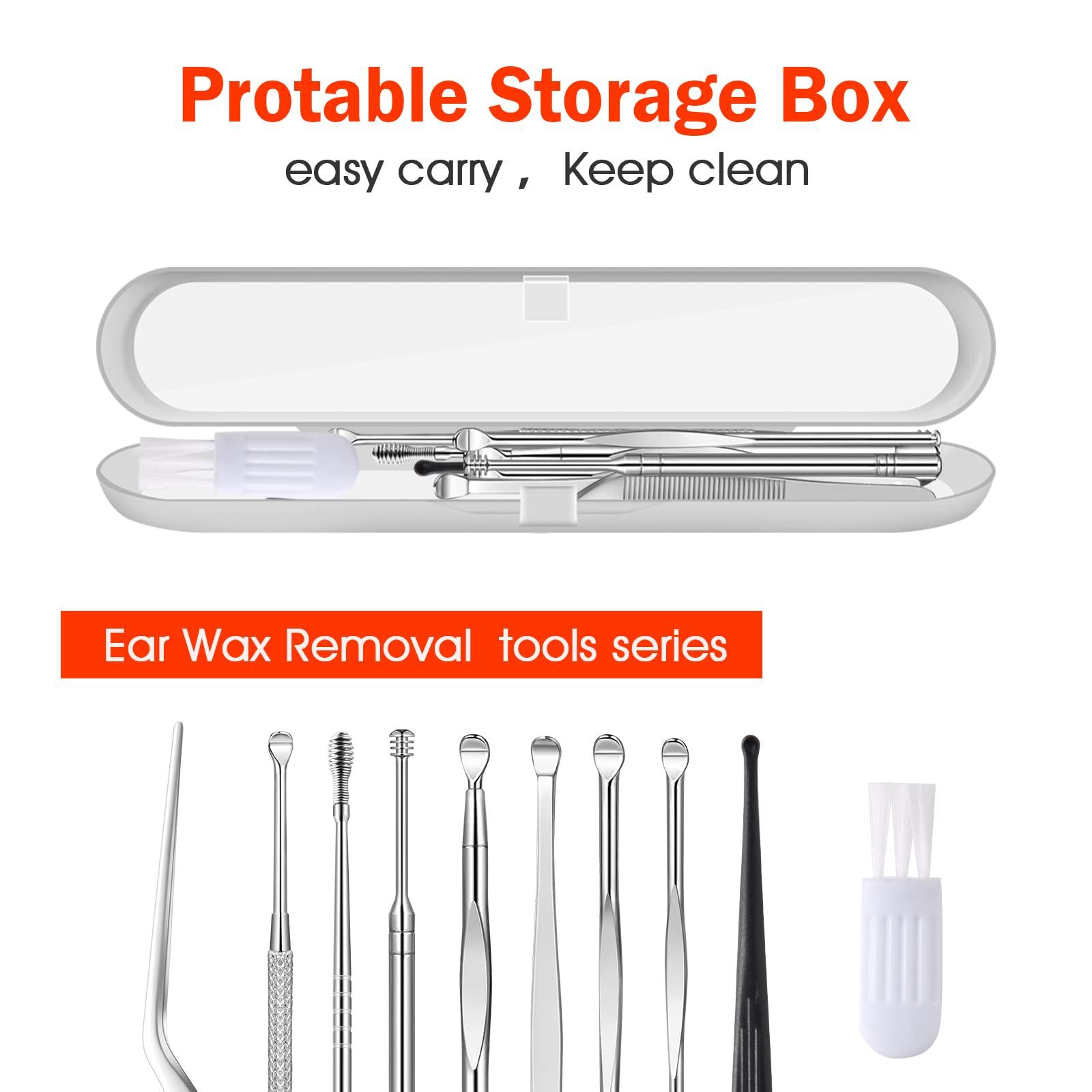 Ear Pick -01 Ear Pick Ear Wax Removal Kit, Ear Cleansing Set, Earwax Remover Tool, Ear Curette Ear Wax Remover Tools with a Cleaning Brush and Storage Box, Medical Grade, for Ear Adult and Kid, Silver, 10 Pcs