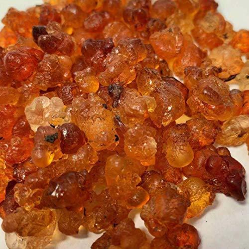 Trustworthy Herbs ?? (1 LB) Tao Jiao / Prunus Persica