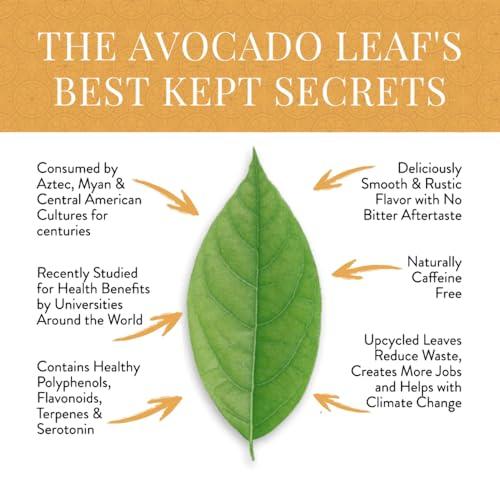 avocado leaf tea Avocado Leaf Tea Peach Tea Caffeine-free | Herbal Tea | Immune Support | Cold Brew or Hot Tea | 15 Tea Bags -30 Servings (Gluten Free, Non-GMO)