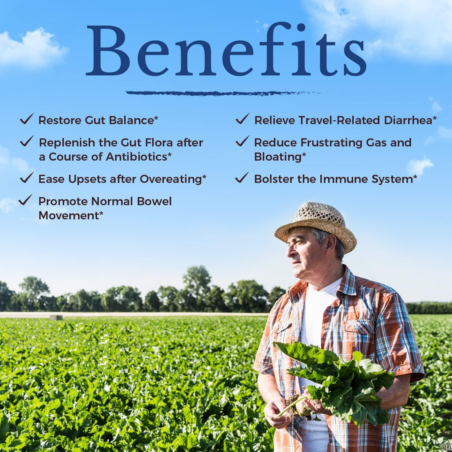 VITALITOWN Vitalitown Probiotics 200 Billion CFUs 36 Strains | Shelf Stable, Acid & Bile Resistant | Intensive Digestive & Immune Support | Men & Women Probiotics | Vegan Non-GMO | 60 ct