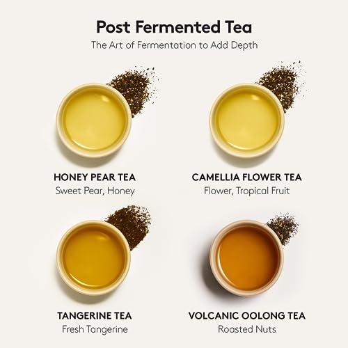 OSULLOC OSULLOC Premium Tea Collection (40 count, 10 flavors x 4 ea), Assorted Tea bag Sampler, Tea Gift sets for Tea lover, Self Care Gift Box, Premium Organic Pure & Blended Tea from Jeju