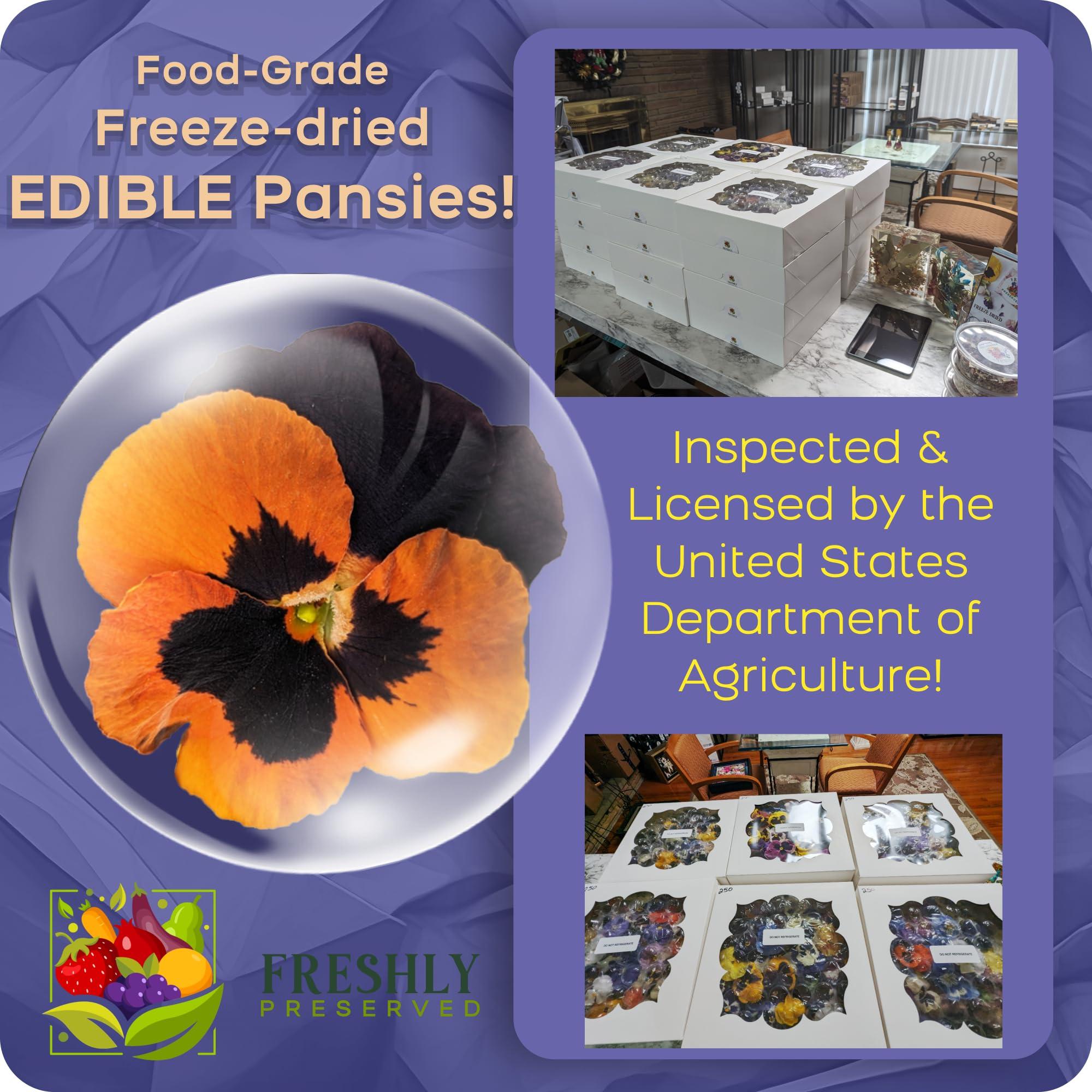 FRESHLY PRESERVED Pansy Edible Flowers for Cocktails & Desserts - 20 USA-Grown Freeze-Dried Flowers for Drink Garnish - Edible Dried Flowers (0.2 oz)