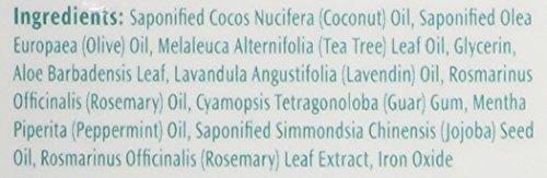 Pedifix Tea Tree Ultimates FungaSoap Cleansing Wash 6 oz (3 Pack)