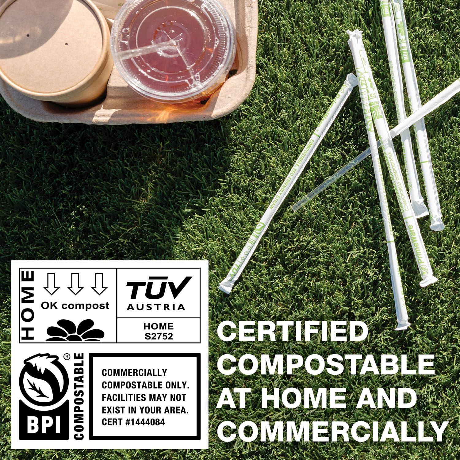 PrimeWare Case of 2000 Clear Plant-Based Straws 10.25" Long Cellulosic Clear Jumbo Compostable Straws, Ideal Eco Friendly Drinking Straws, Individually Wrapped Straws in Paper