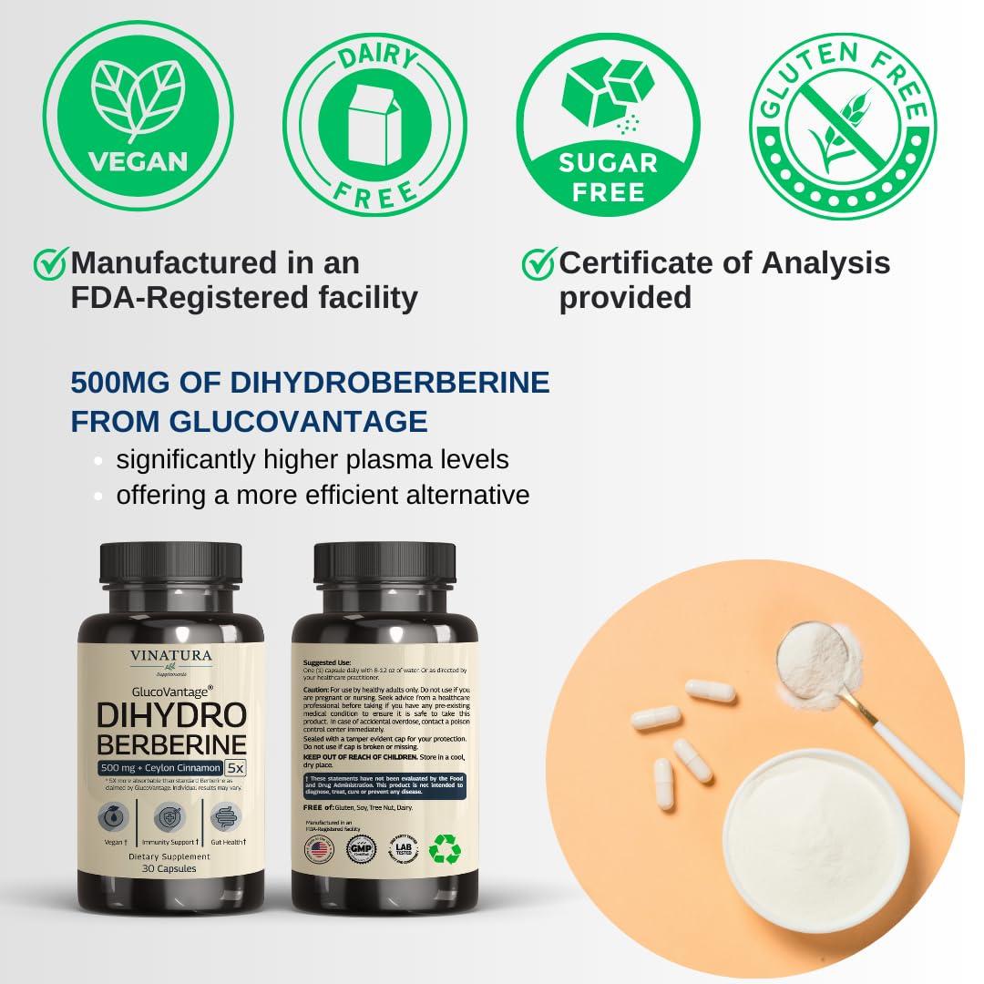 VINATURA VINATURA Dihydroberberine Supplement 500mg with Ceylon Cinnamon - (Patented GlucoVantage Super Berberine), Maybe Berberine 5X More absorbable - 30 Capsules