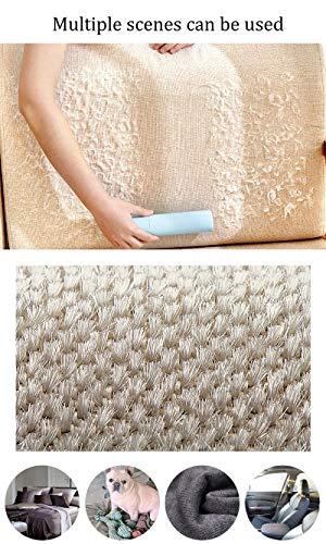 Pets Park Pets Park,Pet Hair Remover, Reusable Travel Lint Roller Brush, Remove Cat and Dog Fur, Lint, Fluff from Carpet, Car Seat, Couch, Clothing, Bedding, Fabric, One Hand Operate-Pet Hair Remover-(Blue)