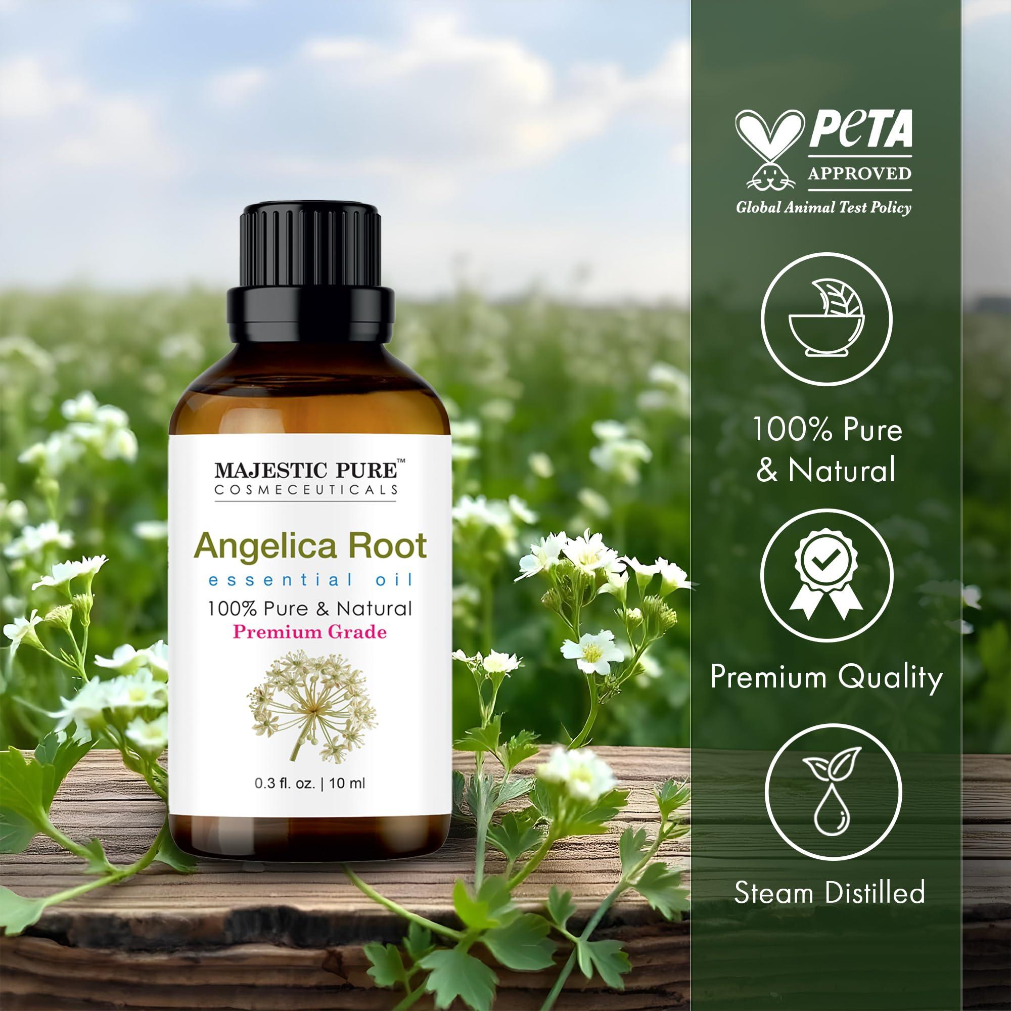 MAJESTIC PURE MAJESTIC PURE Angelica Root Essential Oil | 100% Pure and Natural Oil | Premium Grade Essential Oils for Hair Care, Home Diffusers, Skin, Aromatherapy, Massage and Humidifiers | 0.3 Fl Oz