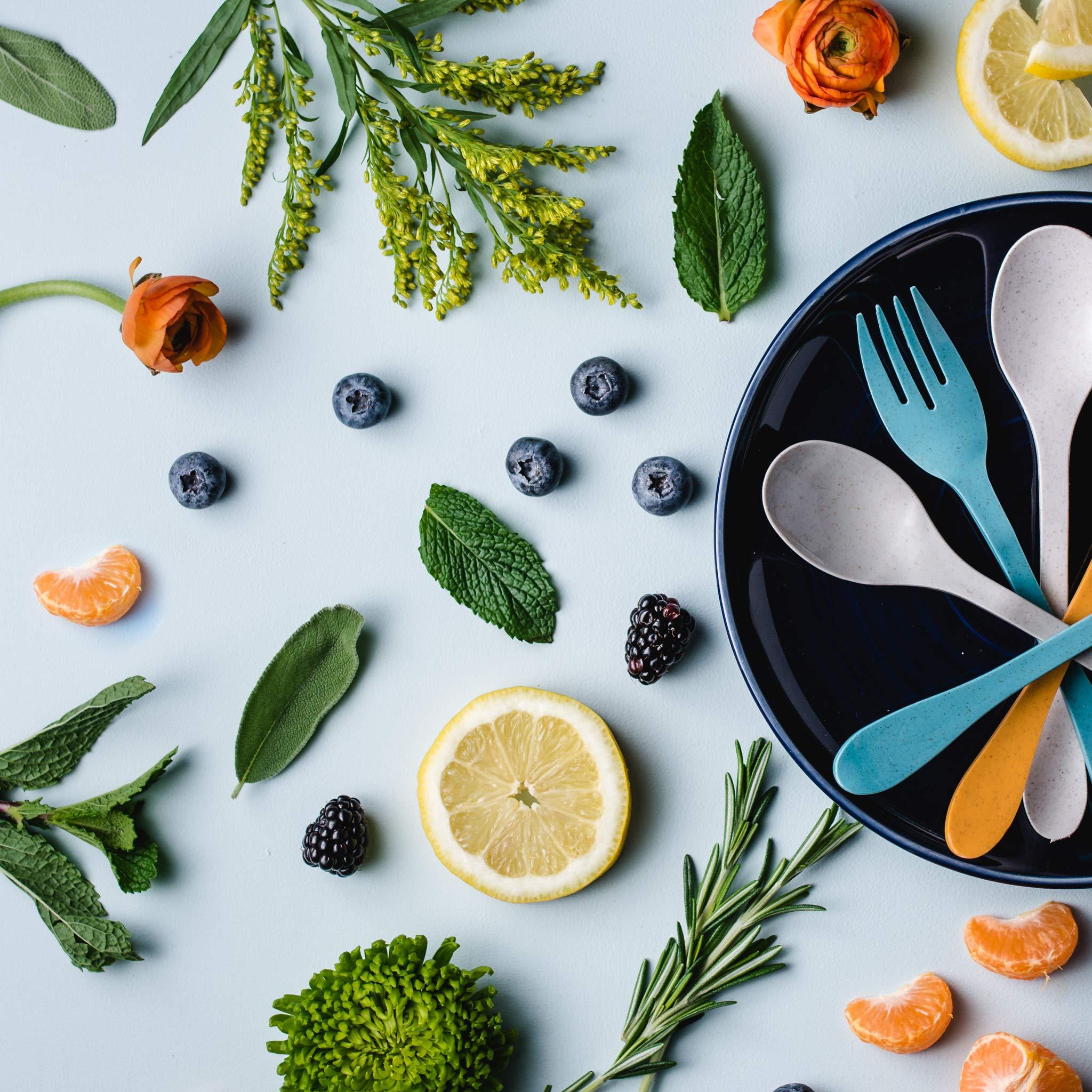 KNORK Knork Eco Spoon Plant Based Cutlery Bamboo Reusable Flatware Set, 12 Piece, Gray