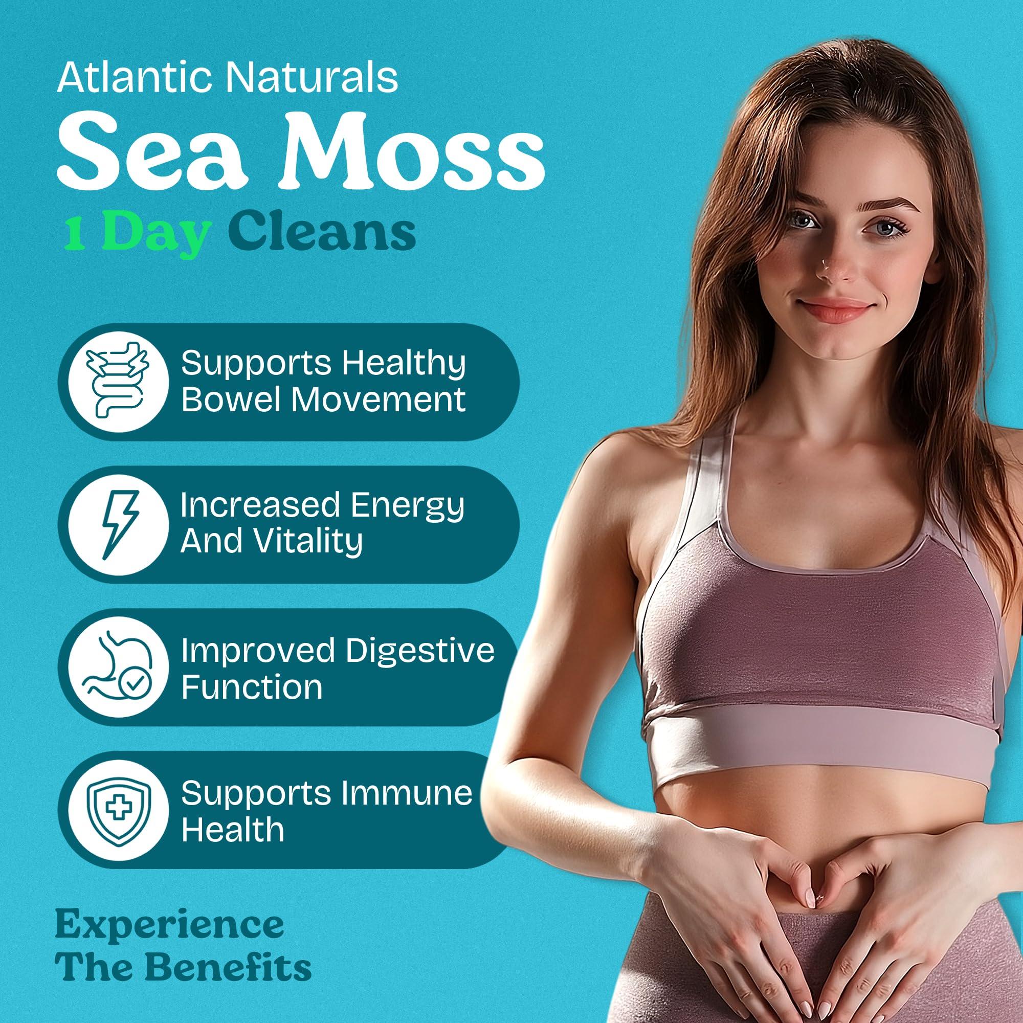 Atlantic Naturals Atlantic Naturals - 1 Day Colon Cleanse Full Body Detox Drink - Sea Moss Supplement for Women & Men, Gut Health, Kidney & Liver Immune Energy Enhancer Gut Cleanse - Lemon Flavor Juice, 8 fl oz