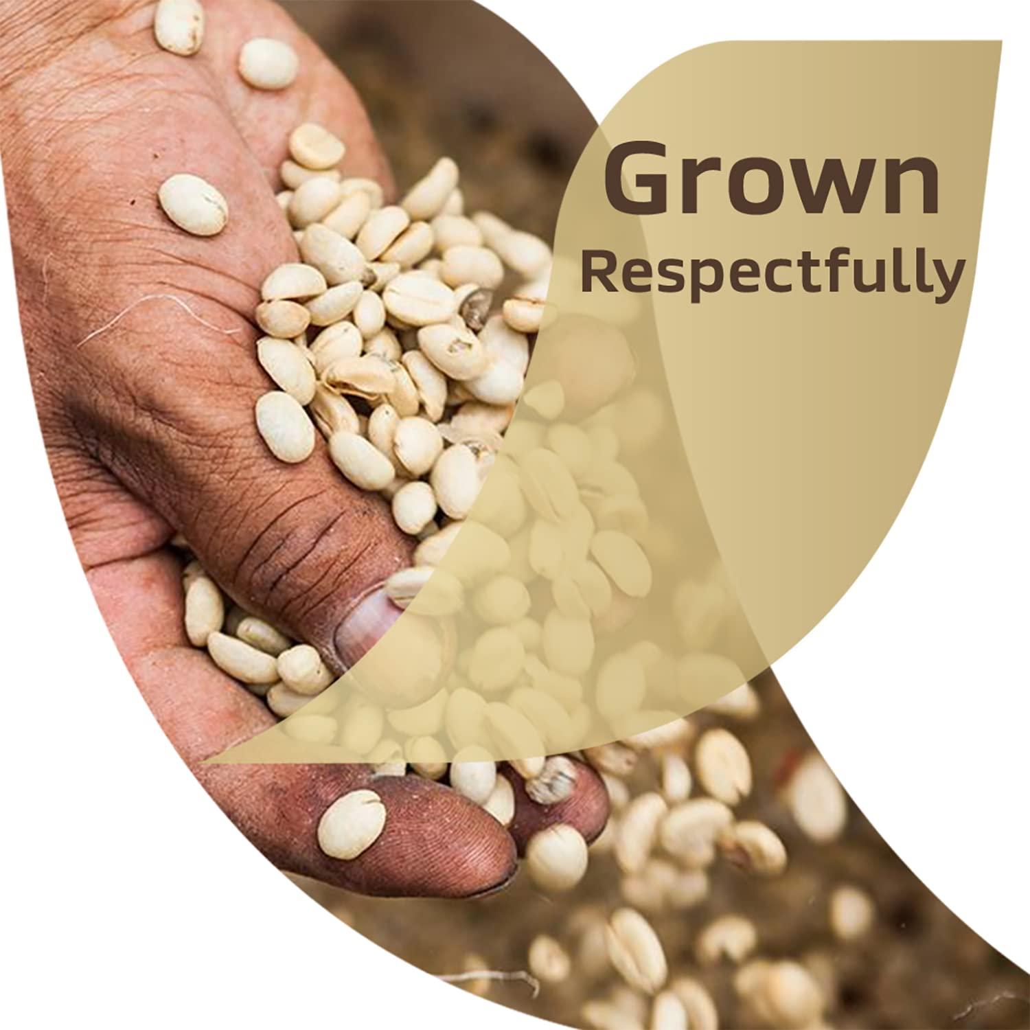 Nescafé Nescafé, Taster's Choice, Instant Coffee Beverage, Hazelnut, 16 Packets, 0.1 oz (3 g) Each - 2pc