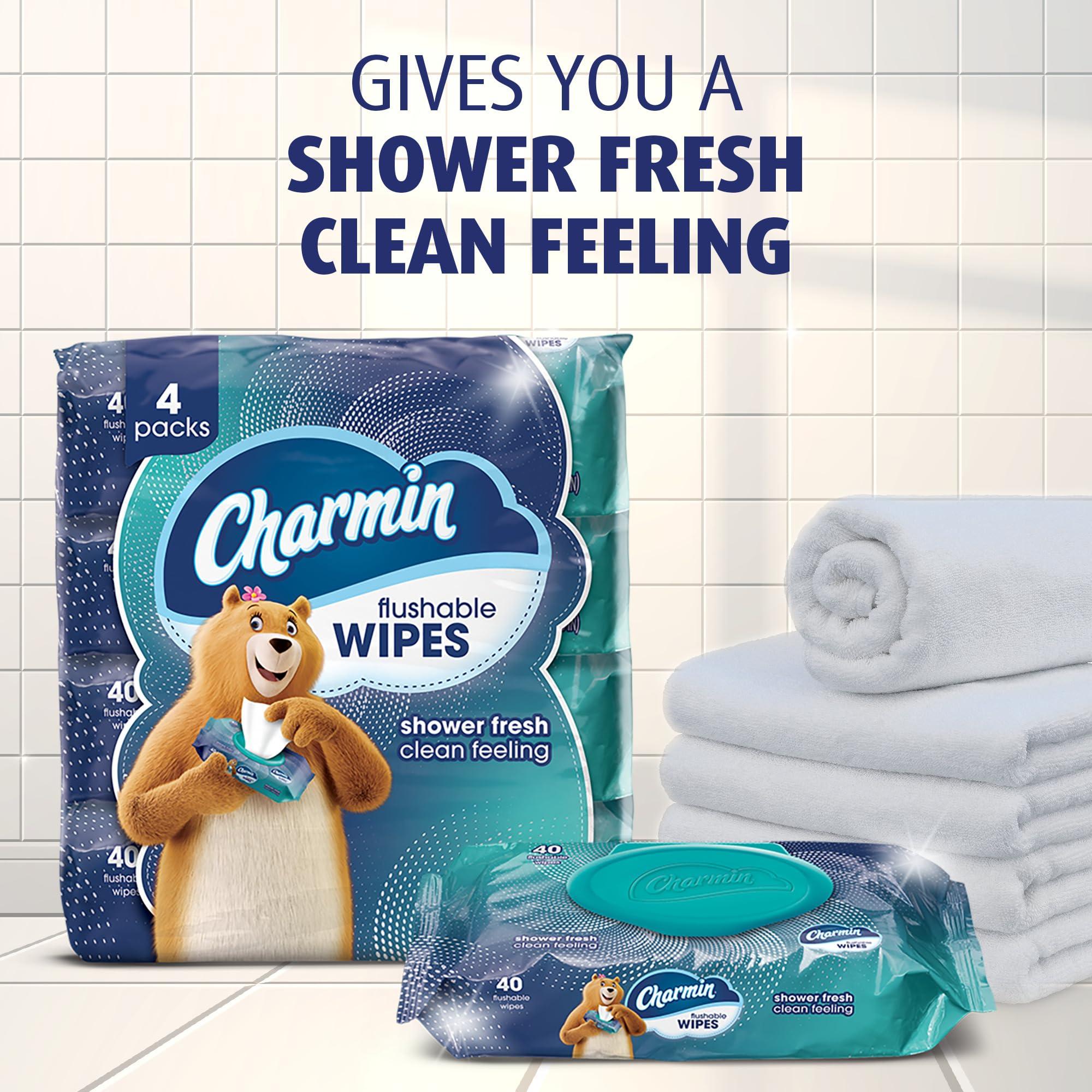 Charmin Charmin Flushable Wipes, 480 Total Wipes (12 Packs of 40)