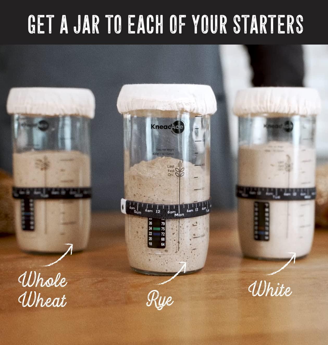 KNEADACE KneadAce 24 Oz Sourdough Starter Jar Kit and Starter Culture