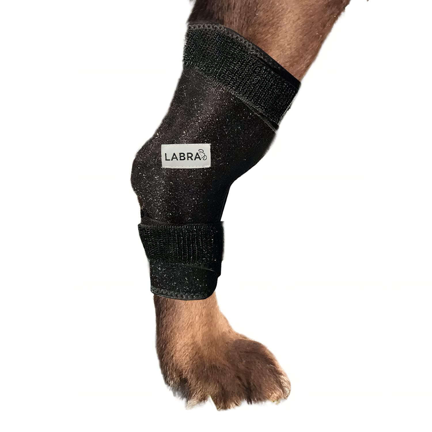Labra Labra Dog Canine K9 Ice Heat Cold Hot Pack Therapy Compression Leg Wrap - Pain Relief Arthritis Brace for Sprained, Injured Joints, Vet Approved - Extra Large